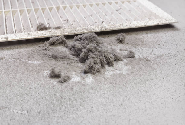 Ductwork Cleaning Services in Palmetto, GA