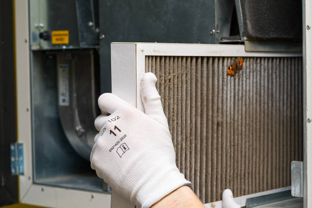 Best Professional Duct Cleaning Services  in Palmetto, GA