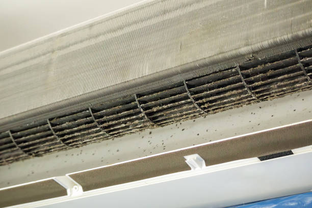 Best Emergency Air Duct Cleaning  in Palmetto, GA